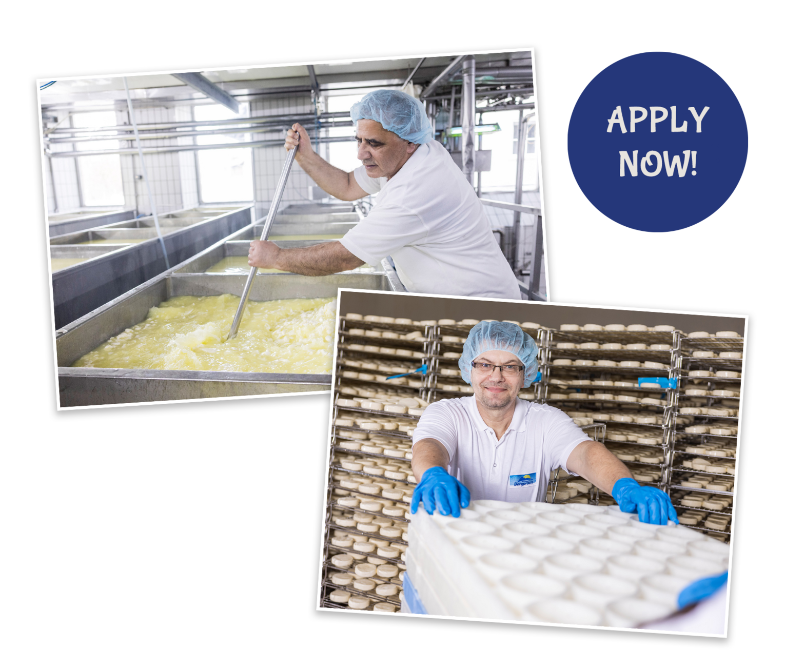 Apply now Banner Bergpracht employees making cheese, Apply now lettering