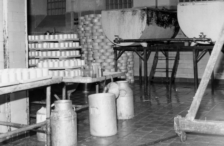 Historical picture of the cheese dairy and dairy from Tettnang.