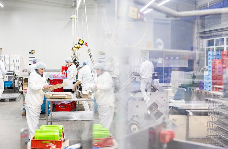 Mitarbeiterinnen in einem Produktionsbereich verpacken Produkte in Kartons. Sie tragen weiße Arbeitskleidung und Haarnetze und sind von Maschinen und Regalen umgeben.